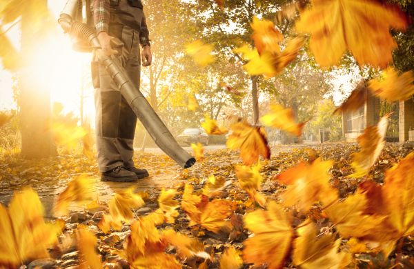 Leaf Blowing Service in Niceville