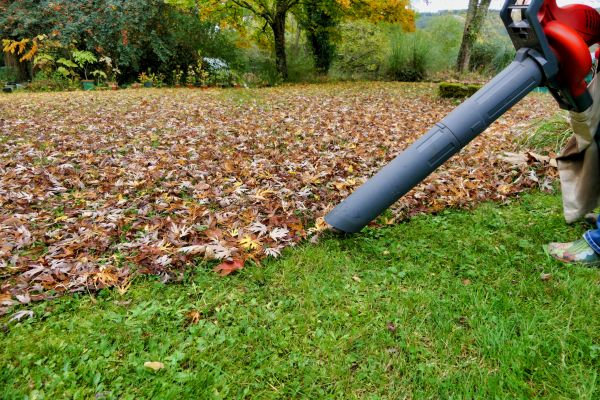 Leaf Vacuuming Service in Niceville