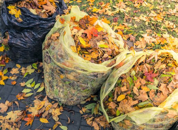 Yard Cleanup Service in Niceville