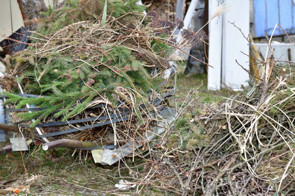 Yard Debris Removal in Niceville