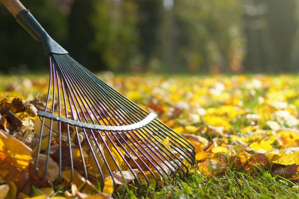 Leaf Raking Service in Niceville