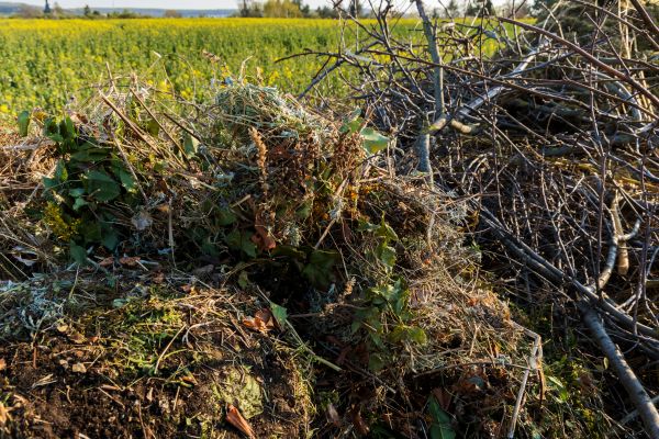 Brush Disposal in Niceville