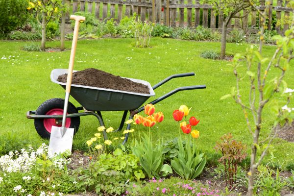 Cost of Spring Yard Cleanup in Niceville
