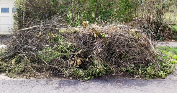 Cost of Tree Limb Cleanup in Niceville