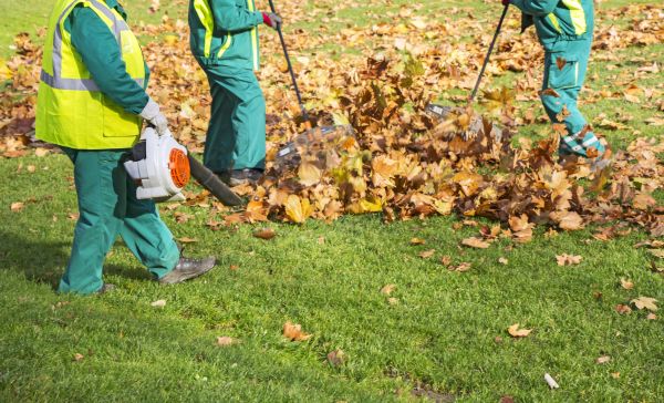 Cost of Leaf Maintenance in Niceville