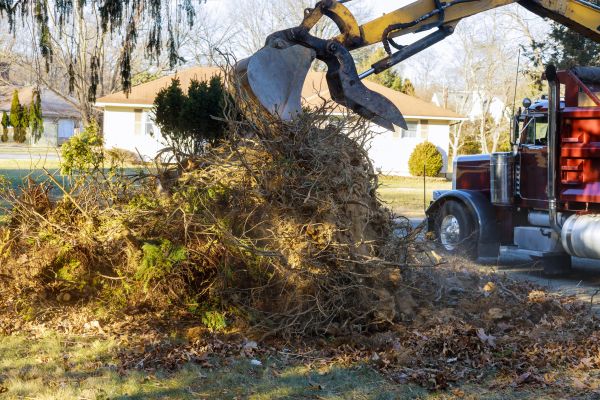 Storm Debris Removal in Niceville