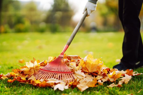 Cost of Ditch Leaf Removal in Niceville