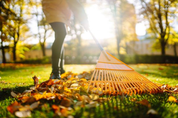 Leaves Raking in Niceville