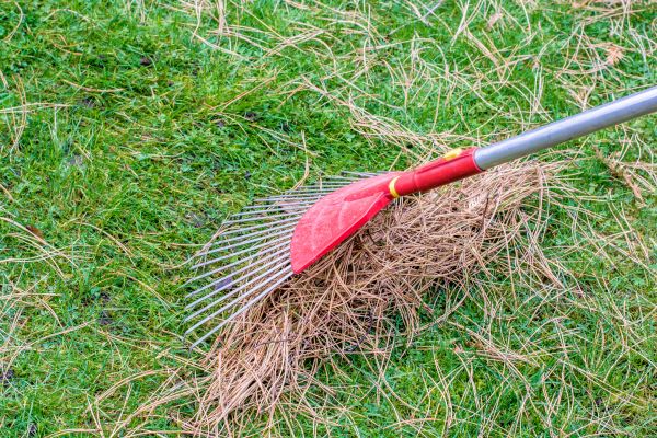 Yard Raking in Niceville