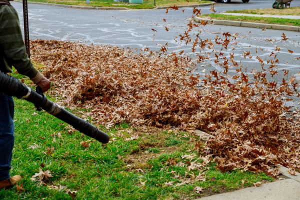 Cost of Garden Leaf Removal in Niceville