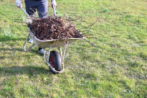 Cost of Yard Brush Removal in Niceville
