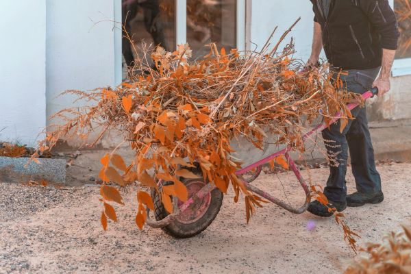 Cost of Lawn Debris Cleanup in Niceville