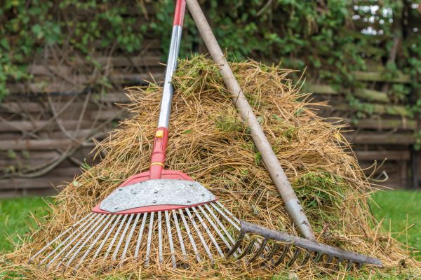 Cost of Pine Straw Clearing in Niceville