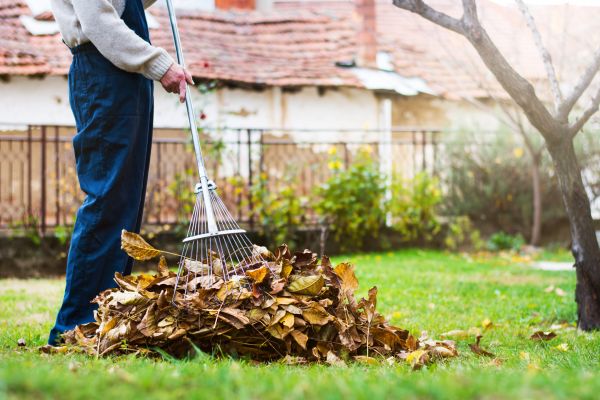 Spring Lawn Cleanup in Niceville