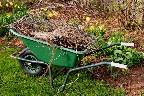 Lawn Waste Removal in Niceville