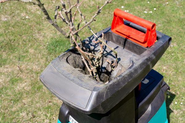 Cost of Brush Cleanup Service in Niceville