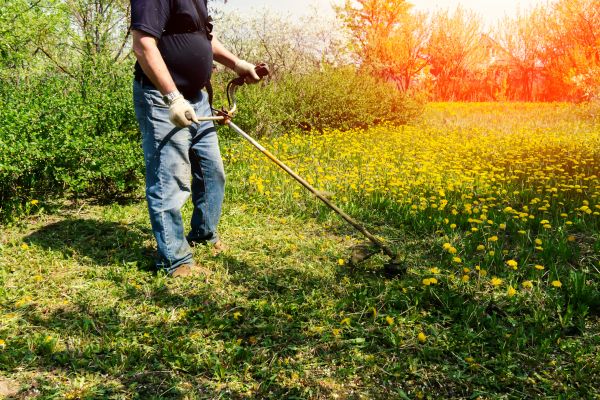 Cost of Yard Clearing Service in Niceville