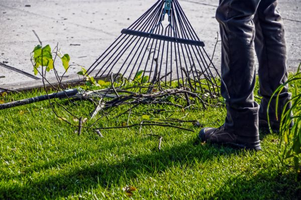 Yard Debris Cleanup in Niceville