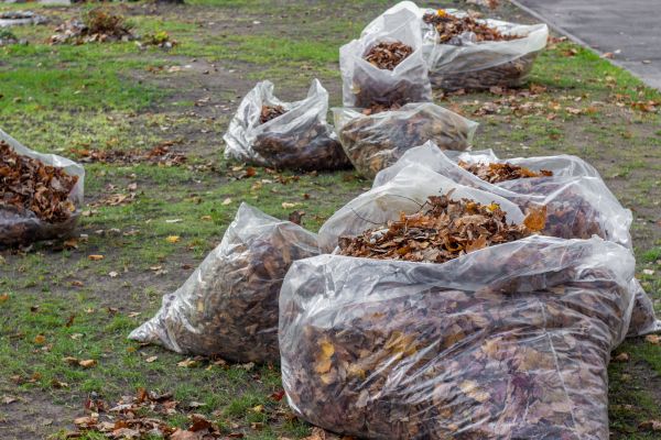 Cost of Leaf Pile Disposal in Niceville
