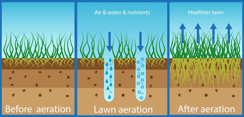 Aeration Preparation