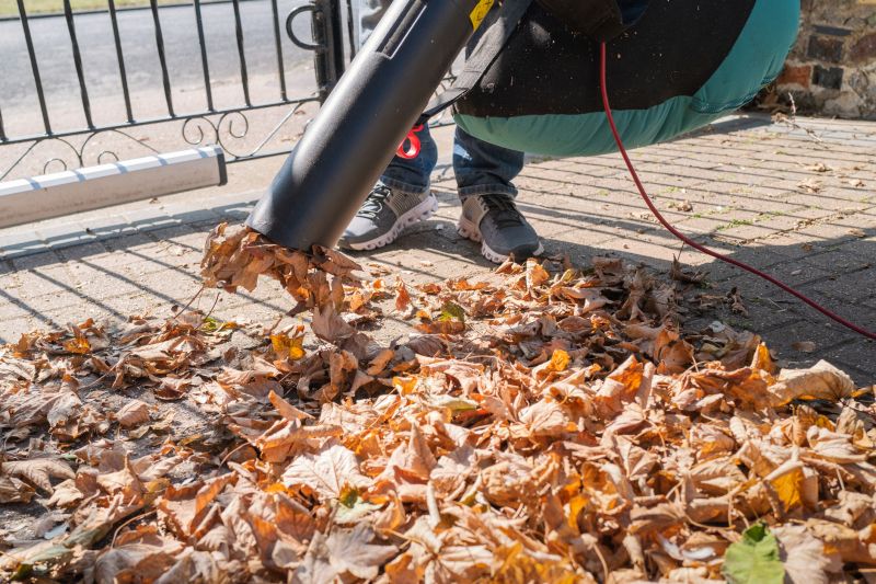 Leaf Blowing Process