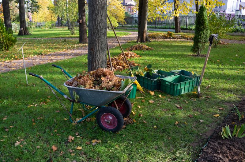 Efficient Leaf Removal