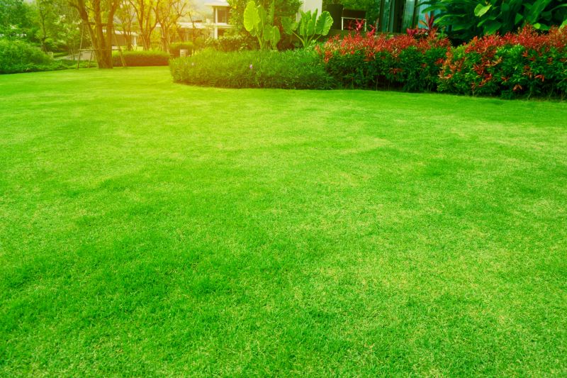 Lawn with Fresh Mulch and Trimming