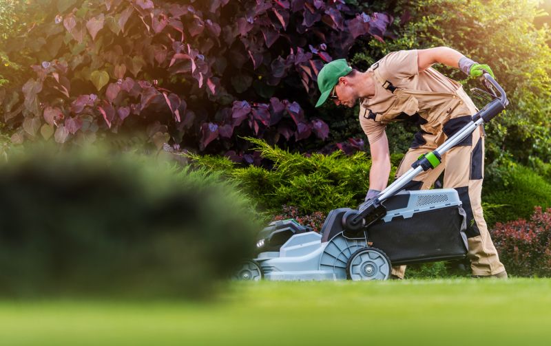 Specialized Lawn Care Teams